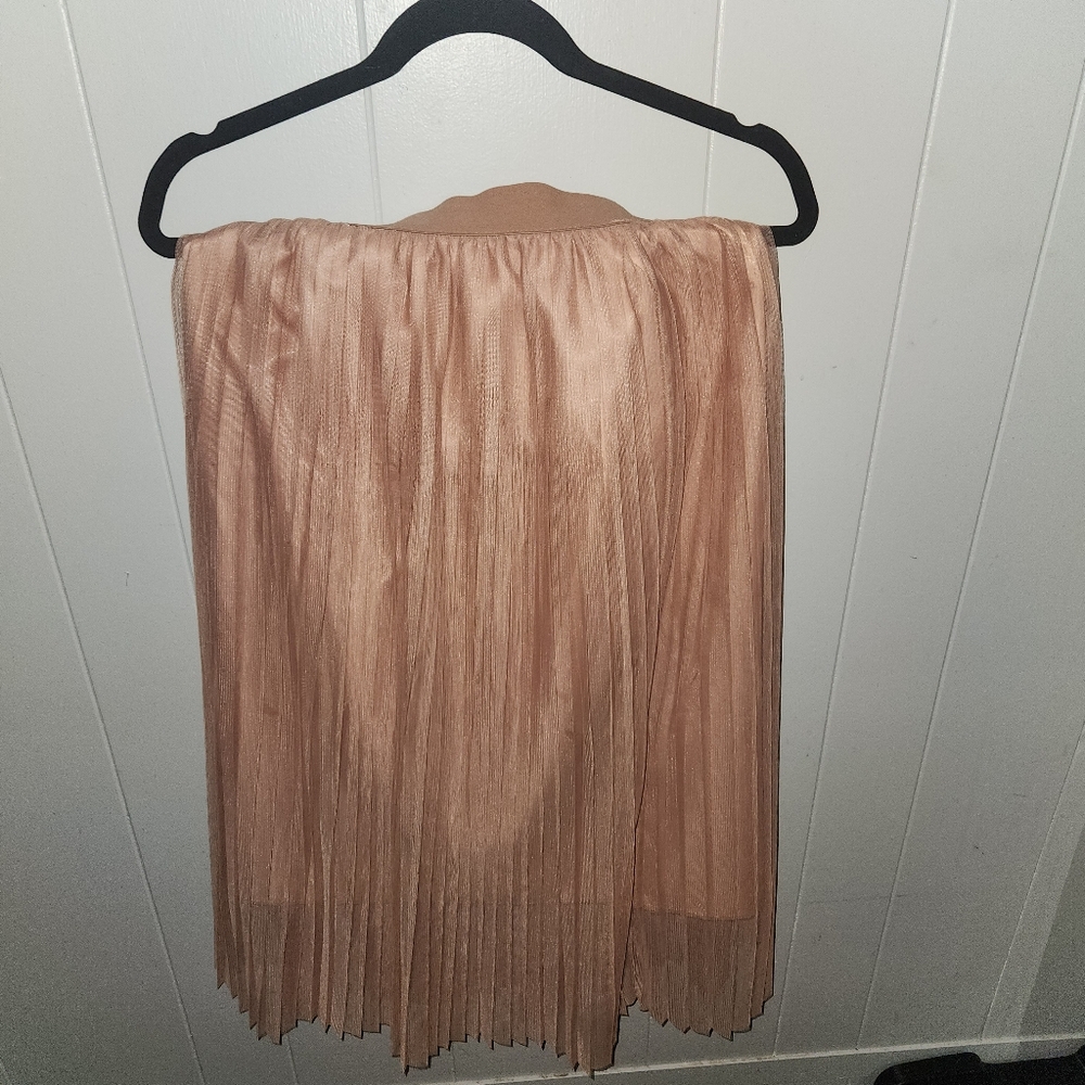 NWOT Zara Ballet Skirt